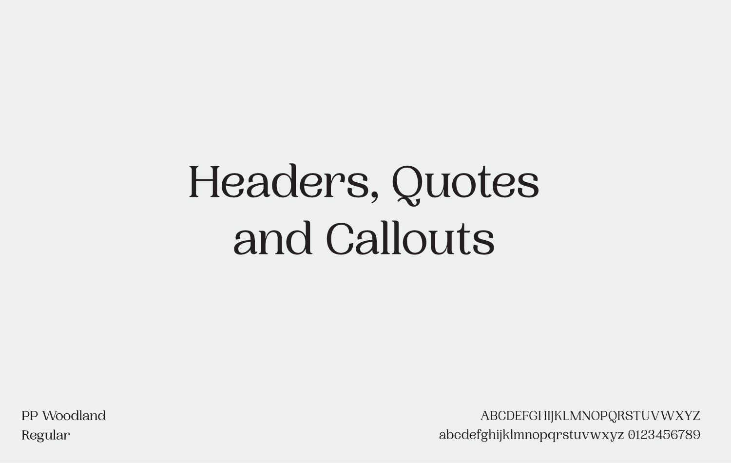 Bibby Website Serif Typography